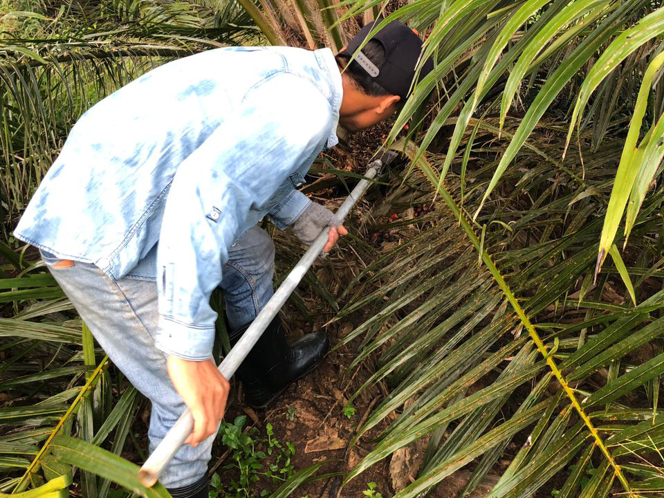 PT. Empat Pilar Sinar Gemilang