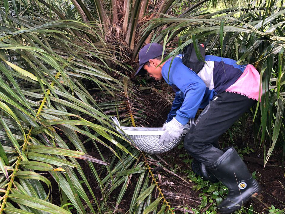 PT. Empat Pilar Sinar Gemilang